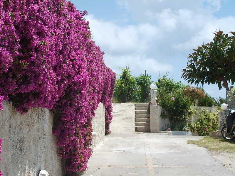 Villa Natalina Forio di Ischia Buitenkant foto